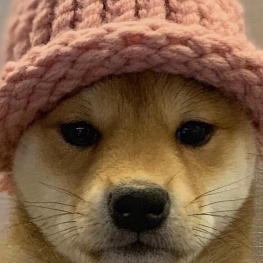 Meet your Posher, Juan